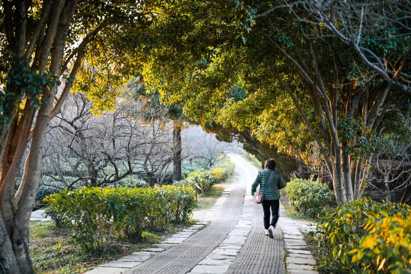 The Gentle Walk That Changes Everything: Why Rest Days Are Getting a Rethink