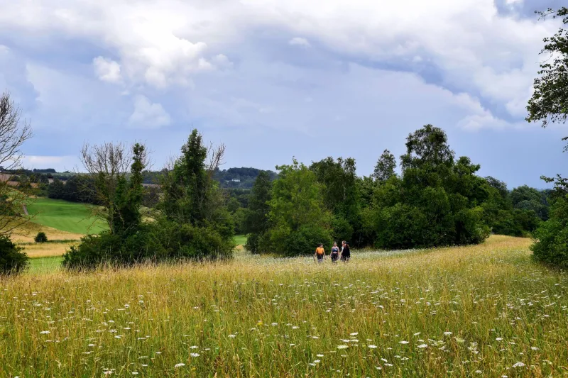 Your First Big Adventure Starts Here: Multi-Day Walking Routes Within Reach of Oxford