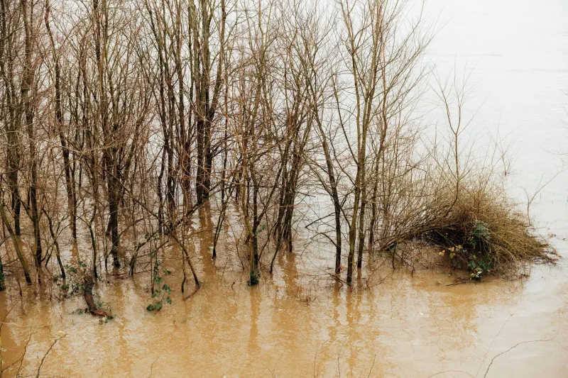 Walking Into Tomorrow: How Oxon Walkers 2030 Is Rethinking Its Routes for a Shifting Landscape